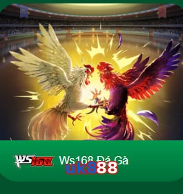 uk888